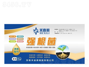 ������-��ϲ��-���港ֲ��