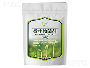 微生物菌劑（粉劑）-凌豐1號-東海生物