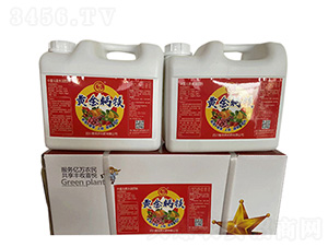 �S���}�V-��ƕN����