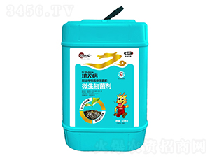 ��ʏ��-�����������Ҹ�����-�ŵ���