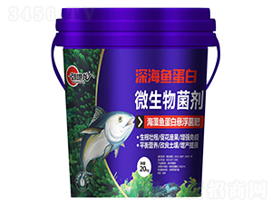 �����~���בҸ�����-�ŵ���