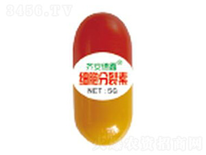 5g��(x��)��������-�������� 