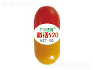 ����920-��������