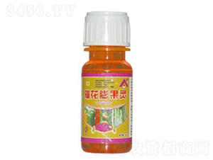 20ml�߻������`-��������