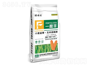 С�����ࡤ����׷ʩ��26-15-11-һ���S-������