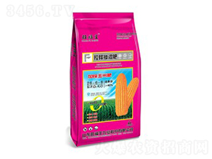 ��ጓ����26-6-8-������