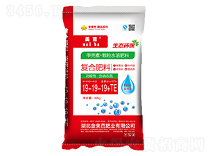 �ͺϷ���19-19-19+TE-������