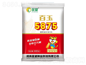 百玉5875-玉米種子-金望種業(yè)