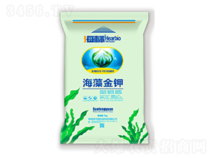 ������-�T�S�@