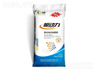 �ͺ�΢�������-������-��������