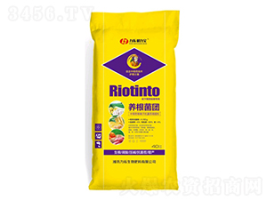 �B(y��ng)��܊�F-��������