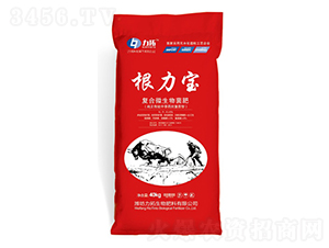 �ͺ�΢�������-���������t��-��������