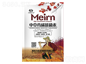 �в�ˎ̼�ܾ���-��������