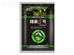 ���1̖-��������