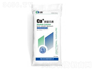 Ca+΢��Ԫ�ط�-��������