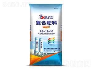 �ͺϷ���28-13-10-�����r(n��ng)-�и���ʢ