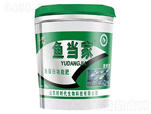 �~���׹��ܷ��n����-�~����-�Õr������