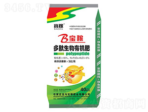 ���������ЙC(j��)��-���R���ڷʘI(y��)