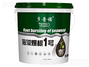 海藻爆根1號-多普諾-艾貝斯