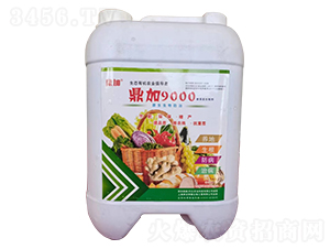 ����9000�����(f��)���Ƅ�-����