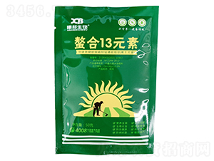 ����13Ԫ��-�ذ�����