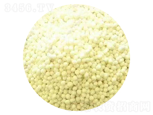 ���������L(zh��ng)Ч���26-12-12-׿���r(n��ng)�I(y��)