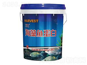 海藻魚(yú)蛋白-蘭普力