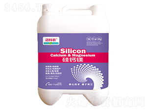 ���}�V-�~���r(n��ng)-�Έ�����