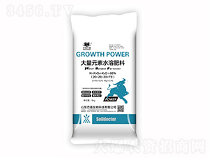 ����Ԫ��ˮ�ܷ�20-20-20-��������