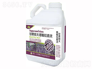 5kgͰ�bҺ��-�������������ֱ�`-�sҫ�r(n��ng)�I(y��)