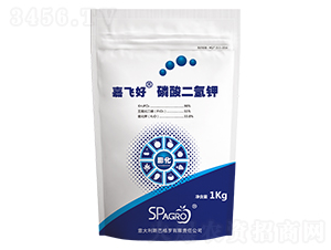 ����������-���w��-˹�͸��_