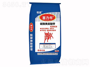 ̼ø�S�����-ϲ��ţ-�sҫ�r(n��ng)�I(y��)