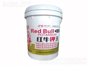 �tţ���-�sҫ�r(n��ng)�I(y��)