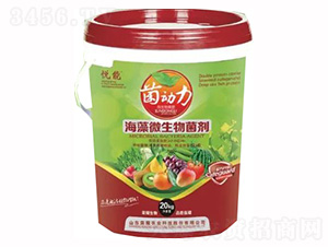 ����΢�������-�sҫ�r(n��ng)�I(y��)