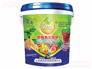 ̼ø�������-�sҫ�r(n��ng)�I(y��)