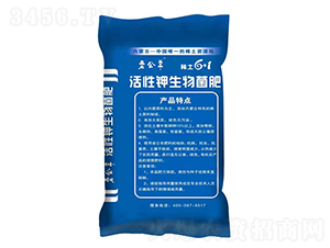 ������������-�Ϲ���-����