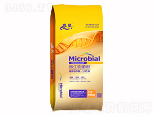 ΢�������-ϲ��