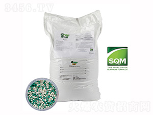 SQMԭ�b�M�ڿƘ��տ�ጷ�-ꖹ��ǻ�