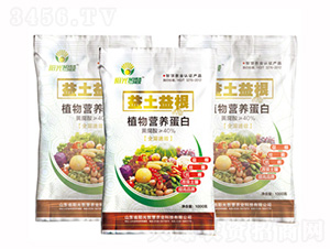 ֲ��I(y��ng)�B(y��ng)����-�������-ꖹ��ǻ�