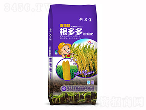 ����൪�׷��-���S�ʘI(y��)