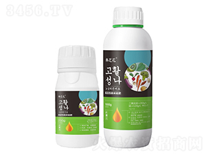 �߻��Լ{�׹��-�n֥��-���W�׶� 