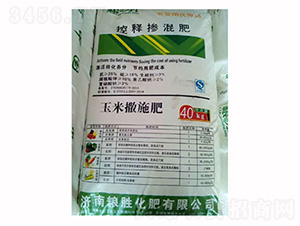 ��ጓ����-�Z�ٻ���