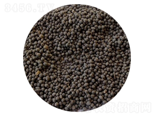 �A�w���ЙC(j��)��-�|�����B(t��i)