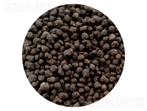 �l�����ЙC(j��)��4-3-3-�|�����B(t��i)