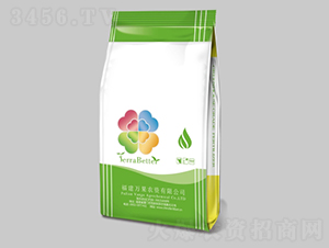 大量元素水溶肥料19-19-19+TE-億果生態(tài)