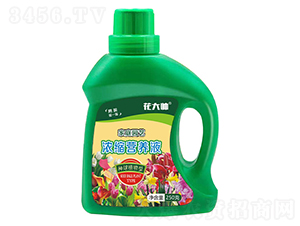 �N��ֲ���͝�s�I�B(y��ng)Һ-����-�G�ַʘI(y��)