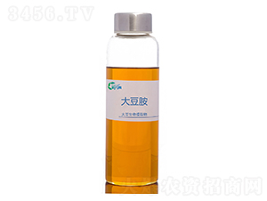 大豆胺-豆蛋白原料-新元素