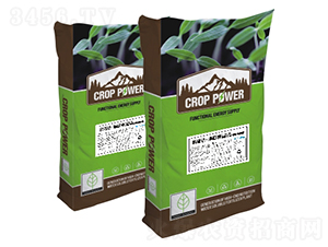 �����-ʩ���_(d��)