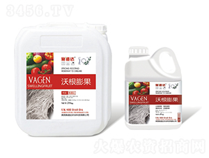 沃根膨果-施道達