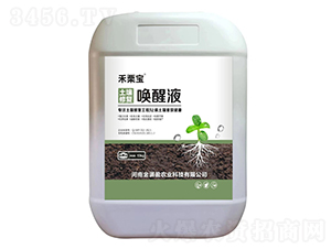 �����ޏ�(f��)����Һ-������-��Mӯ